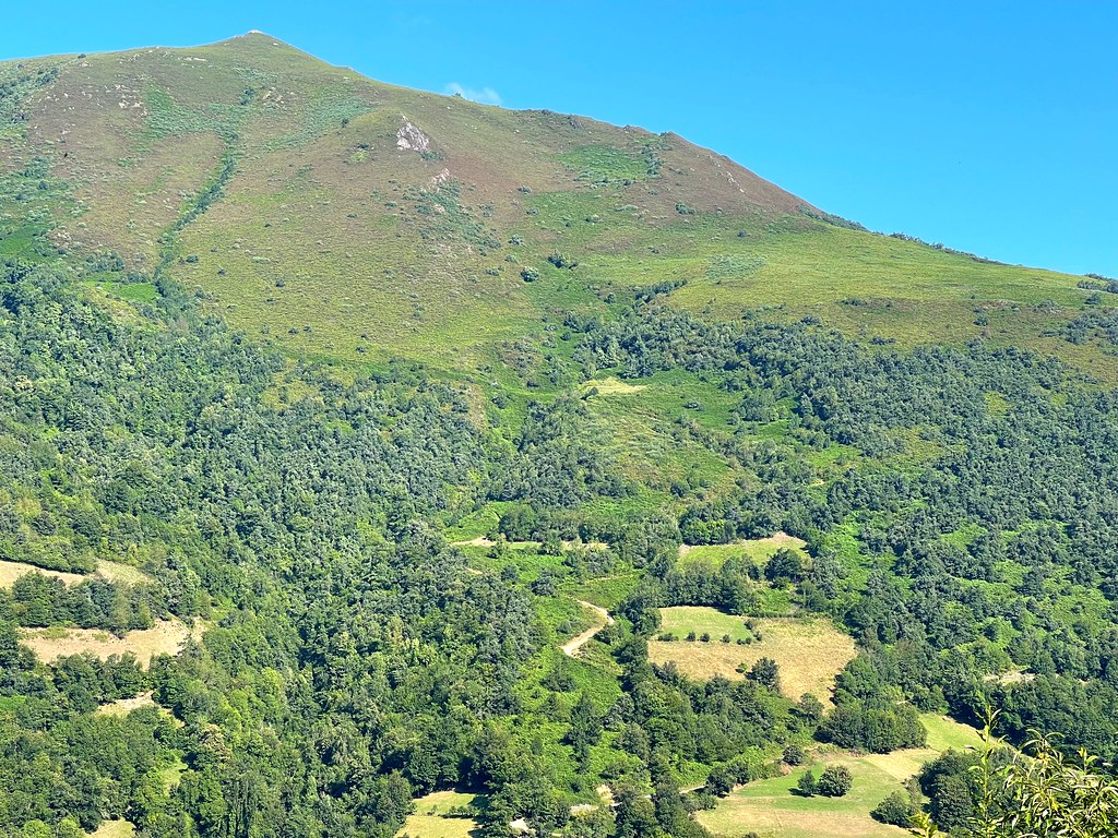 Camino Francés desde Ponferrada